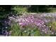 Lush flower garden full of vibrant purple and white petunias at 395 Hood Ave, Fayetteville, GA 30214