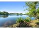 Calm lake view with yellow irises and clear blue sky at 423 Bear Creek Trl, Hampton, GA 30228