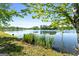 Beautiful lake view with yellow irises along the shore on a sunny day at 423 Bear Creek Trl, Hampton, GA 30228