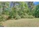 Image of a spacious backyard bordered with a lush tree line and natural foliage at 8032 Highland Pkwy, Fairburn, GA 30213