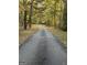 Scenic driveway leading through a canopy of trees with colorful fall foliage at 671 Ellison Rd, Tyrone, GA 30290