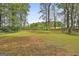 Spacious backyard featuring a well-maintained lawn and lush trees, perfect for outdoor activities at 225 Mapledale Trl, Sharpsburg, GA 30277