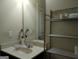 Bathroom featuring a vanity sink, and a mirror at 1253 Heartwood Ave, Mcdonough, GA 30253