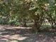Shaded land with lush trees and natural vegetation at 140 Julie Rd, Tyrone, GA 30290