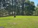 Open green yard with tall trees in the background at 140 Julie Rd, Tyrone, GA 30290