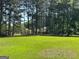 Expansive lawn bordered by tall trees offering shade and privacy at 140 Julie Rd, Tyrone, GA 30290
