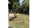 Spacious backyard featuring a well-maintained lawn, a patio with seating, and mature trees at 203 Collierstown Way, Peachtree City, GA 30269