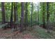 Backyard features mature trees and walking path at 6205 Collingham Trce, Cumming, GA 30040