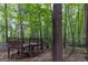 A wooden playhouse sits nestled among tall trees on a shaded lot at 6205 Collingham Trce, Cumming, GA 30040