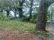 Overgrown backyard featuring trees and untamed foliage, hinting at a natural landscape awaiting revitalization at 690 Mcdonough Se Blvd, Atlanta, GA 30315