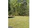 Green backyard with mature trees at the property line at 5041 Cottage Grove Pl, Union City, GA 30291