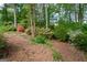 Expansive backyard with mature trees, lush foliage, and a mulch ground cover for low maintenance at 1270 Tribble Walk Ct, Lawrenceville, GA 30045