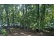 Backyard through the trees at 608 Wingspread, Peachtree City, GA 30269