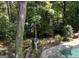 View of the backyard and pool through the trees at 608 Wingspread, Peachtree City, GA 30269