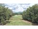 Aerial view of a lush golf course surrounded by trees at 101 Glen Eagle Way, Mcdonough, GA 30253
