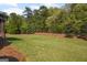 Expansive backyard with lush green grass, mature trees, and a natural wooded border at 189 Willowleaf Way, Sharpsburg, GA 30277