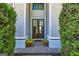 Elegant entryway featuring a double door entrance with decorative plants at 325 Elderberry Trl, Fayetteville, GA 30214