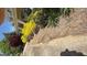 Well-manicured front yard with colorful bushes and plants at 109 Lighthorse Blvd, Mcdonough, GA 30252