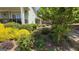 Beautifully landscaped front yard with colorful bushes and mature trees at 109 Lighthorse Blvd, Mcdonough, GA 30252