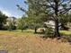 Spacious backyard featuring mature trees and lawn at 1028 Field View Dr, Mcdonough, GA 30253