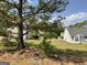View of the green backyard featuring trees at 1028 Field View Dr, Mcdonough, GA 30253