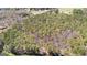 Aerial shot of wooded land, showing trails and clearings, with potential for development or recreation at 461 Old Jackson Rd, Mcdonough, GA 30252