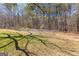 Picturesque treeline with an old grapevine and mature trees lining a scenic outdoor space at 461 Old Jackson Rd, Mcdonough, GA 30252