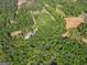 Lush aerial view of a beautiful property surrounded by abundant trees and greenery at 2331 Hollonville Rd, Brooks, GA 30205