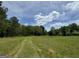 Scenic land featuring a grassy path leading through a meadow under a partly cloudy sky at 2331 Hollonville Rd, Brooks, GA 30205