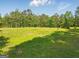 Scenic grassy lot surrounded by tall trees under a blue sky offering ample space for outdoor enjoyment and privacy at 2331 Hollonville Rd, Brooks, GA 30205