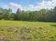 Expansive grassy land with trees in the background. Perfect for new construction, or just to enjoy the nature and space at 2331 Hollonville Rd, Brooks, GA 30205