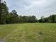 Picturesque land with a mix of open grassy areas and mature trees, offering privacy and natural beauty at 2331 Hollonville Rd, Brooks, GA 30205