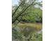 Picturesque view of a river winding through dense greenery and trees at 2331 Hollonville Rd, Brooks, GA 30205