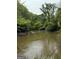 Scenic river surrounded by lush green foliage and trees at 2331 Hollonville Rd, Brooks, GA 30205