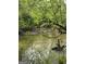Scenic river view with lush green trees and foliage along the banks at 2331 Hollonville Rd, Brooks, GA 30205