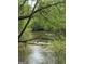 Tranquil river flowing through dense greenery and trees at 2331 Hollonville Rd, Brooks, GA 30205