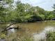 Picturesque view of a river flowing through lush greenery and trees at 2331 Hollonville Rd, Brooks, GA 30205