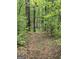 Secluded wooded area with mature trees and natural ground cover, offering privacy and tranquility at 2331 Hollonville Rd, Brooks, GA 30205