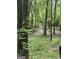 Lush wooded area with mature trees, offering privacy and a connection to nature at 2331 Hollonville Rd, Brooks, GA 30205