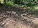 Simple fire pit in the wooded area of backyard, perfect for outdoor relaxation at 1815 Dodson Sw Dr, Atlanta, GA 30311