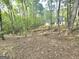 Backyard view with mature trees surrounding a property with fencing, a wooden bridge, and a home on a hill at 64 Shadow Ct, Palmetto, GA 30268
