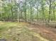 Expansive backyard surrounded by mature trees, offering privacy and tranquility at 64 Shadow Ct, Palmetto, GA 30268