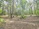 View of backyard with plentiful trees, offering a private wooded setting at 64 Shadow Ct, Palmetto, GA 30268