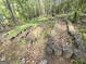 Landscaped backyard showing stepping logs, mature trees, and a garden area promoting a serene outdoor living space at 64 Shadow Ct, Palmetto, GA 30268