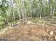 Natural backyard featuring wooded area, piles of firewood, and a peaceful atmosphere among mature trees and sparse ground cover at 64 Shadow Ct, Palmetto, GA 30268