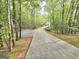 Long concrete driveway leading to a secluded home surrounded by lush trees and landscaping at 64 Shadow Ct, Palmetto, GA 30268