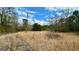 Picture of the lot, filled with grass and trees on a partially cloudy day at 2450 Highway 155 N, Mcdonough, GA 30252