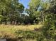 Image of property with trees and open grassy land at 2450 Highway 155 N, Mcdonough, GA 30252