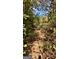 Wooded trail with sunshine peeking through the trees in this expansive lot at 2450 Highway 155 N, Mcdonough, GA 30252