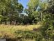 Picture of tree-filled lot with wild grasses and woods at 2450 Highway 155 N, Mcdonough, GA 30252